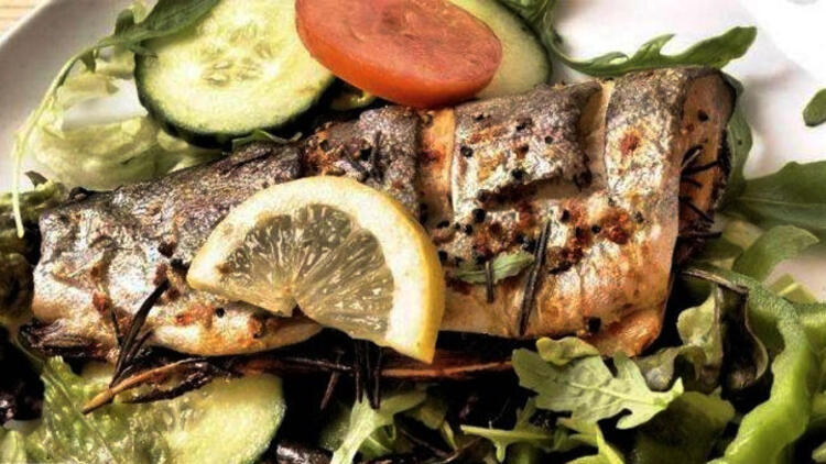 Sebzeli Kefal Dolması Tarifi